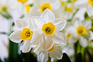 《毁灭战士》引擎风格奇幻新作《Mohrta》本月发售